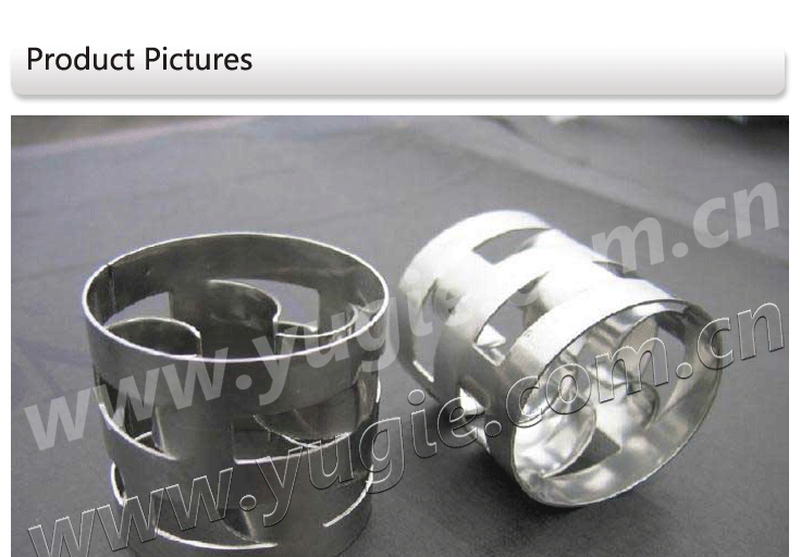 Metal Pall Ring